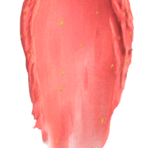 Aphrodite